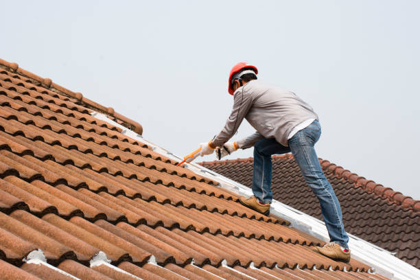 Best Solar Panel Roofing Installation  in Burt, MI