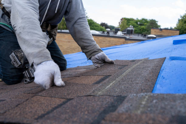 Best Roof Leak Repair  in Burt, MI