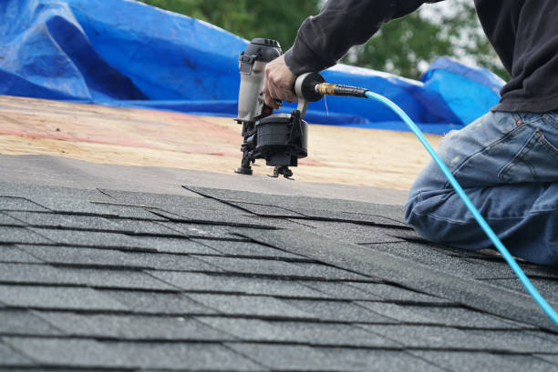 Best Roof Moss and Algae Removal  in Burt, MI