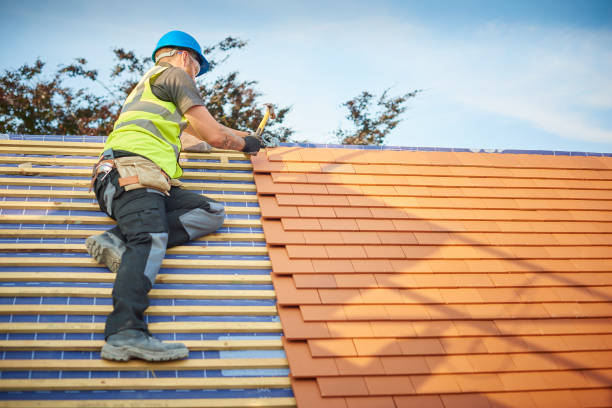 Best Roof Ventilation Installation  in Burt, MI